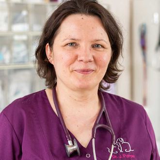 Dr. Juliane Parow