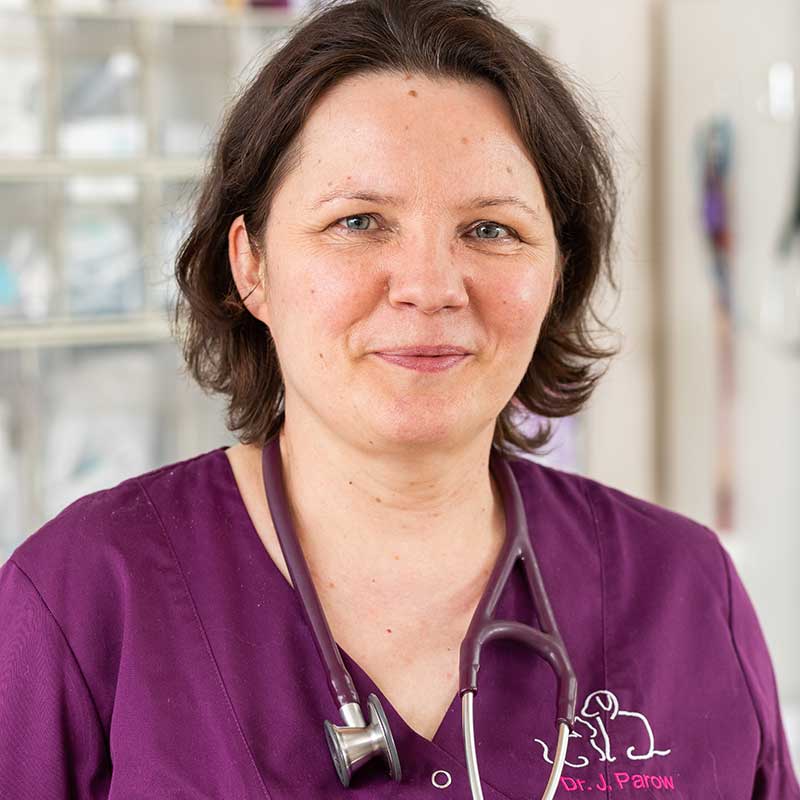 Dr. Juliane Parow